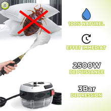 Charger l&#39;image dans la galerie, Nettoyeur Vapeur Haute Pression Anti-punaise de lit